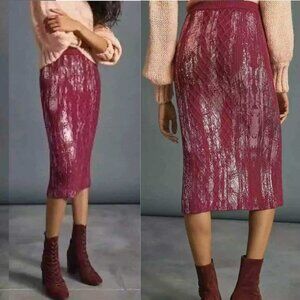 Anthropologie Rue Shimmer Sweater Midi Skirt